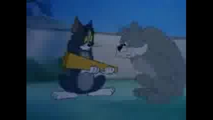 Tom Jerry 