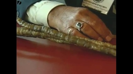 Worlds Longest Fingernails 
