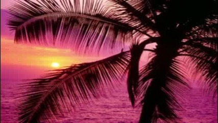 Best House Summer Mix 2010 2011 (latin, groove, progressive, tech music beats) 