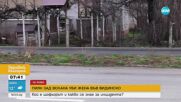 Убитата от пиян шофьор пешеходка във Видинско се движила по пътното платно