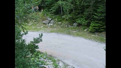 Wrc Bulgaria day 2 - Petter Solberg