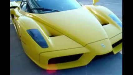 Ferrari vs. Lamborghini 