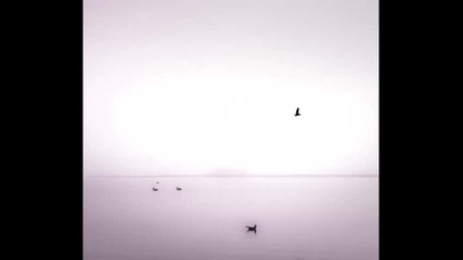 The Best Pessimist - When Time Stood Still 
