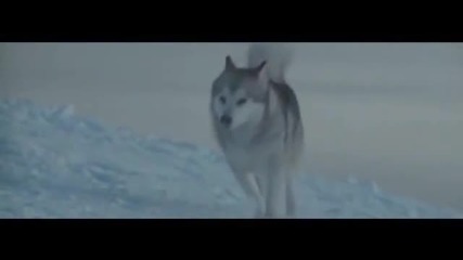 God Is an Astronaut - Frozen Twilight