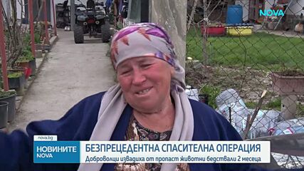 Спасиха овца и новородено агне от 400-метрова пропаст в Кърджалийско