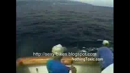 Funny Video