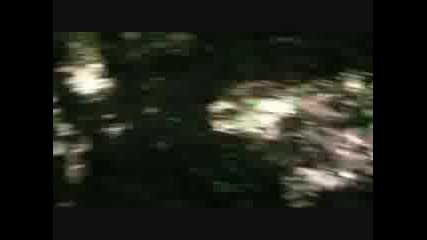 Mike Oldfield Tubular World.flv