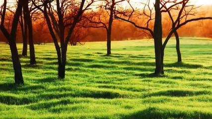 Joan Baez - Green Green Grass of Home