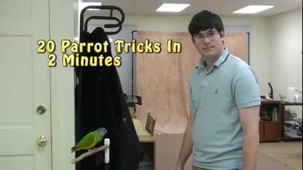 Папагал прави 20 трика за 2 минути