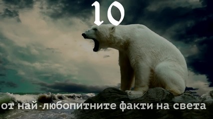 10 от най-любопитните факти на света