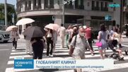 Световната метеорологична организация: Последните 11 години са най-горещите от 1850 г. насам