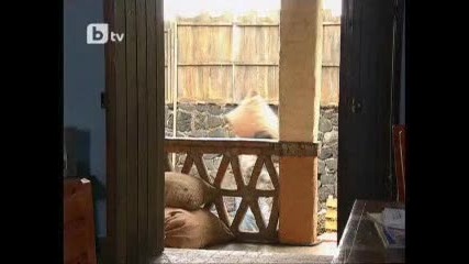 Вечно твоя 117 епизод 2 част