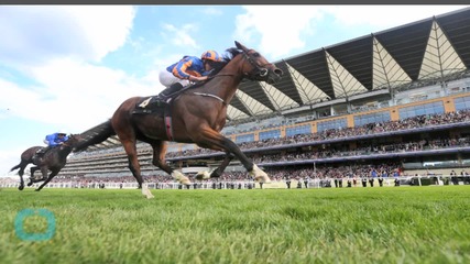 Trip To Paris Wins Gold Cup at Ascot