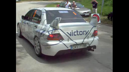 рали вида 2009