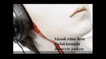 mariq 
