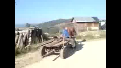 xaxaxa