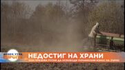 ООН за пореден път призова Русия да разблокира износа на зърно от Украйна