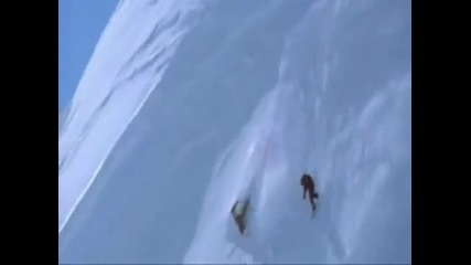 Този не го слуша главата!!