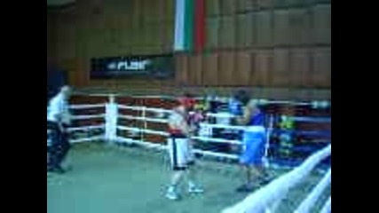 dido 6ampion