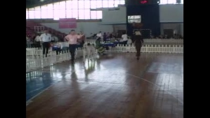 Лейди