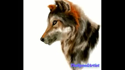Speed Drawing 2 - Wolf 