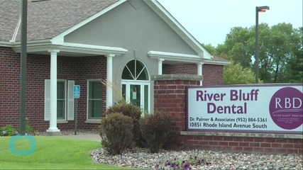 Hundreds Protest Lion Killing at Dentist Office