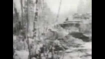 German Panzers