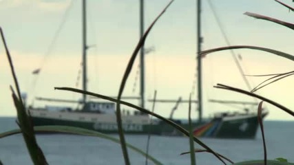 Опазване на Костенурките в Тайван - Greenpeace