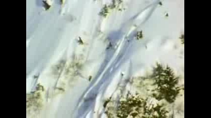 Optimistic - New 2007 Absinthe Snowboard