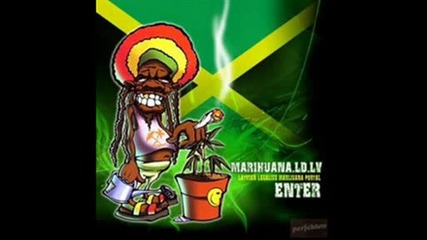 King Size - Dai bambuka