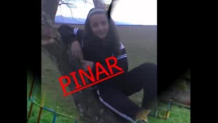 Pinar 0001