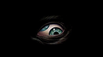 Protoculture - New Directions