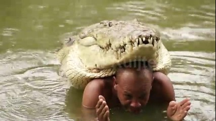 Приятелство между човек и крокодил - Възможно ли е