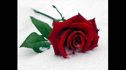 Vanja - Everything's coming up roses