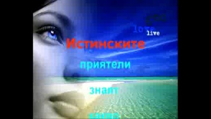- Една Размисъл На Nikinta. 