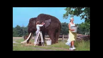 Mammoth - Mcdonalds