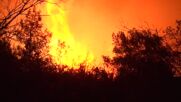 Големият пожар се приближава до Изворище, евакуираха няколко къщи