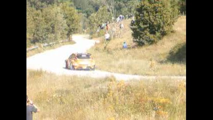Рали България 2010 