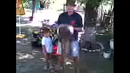 Видео002.3gp