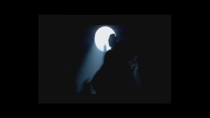 Miley Cyrus - Cant Be Tamed 