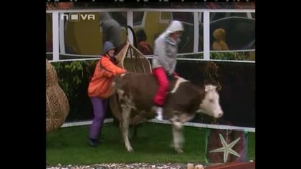 Кравешко Родео В Big Brother 4 На 19.11.2008