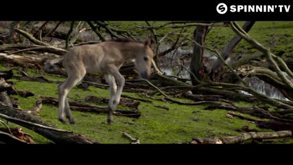 Don Diablo - Edge Of The Earth (official Music Video)