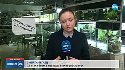 ИЗБЯГАЛАТА БОА: Опасен ли е този вид змия?