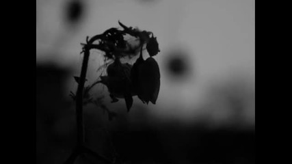 Saturnus(denmark)-descending