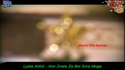 Ljuba Alicic - Nisi Znala Za Bol Srca Moga