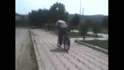 Ludiq Koko