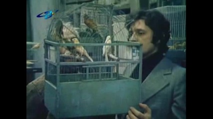 Българският филм Адаптация (1981) [част 2]