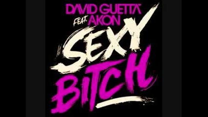 David Guetta feat Akon - Sexy Bitch