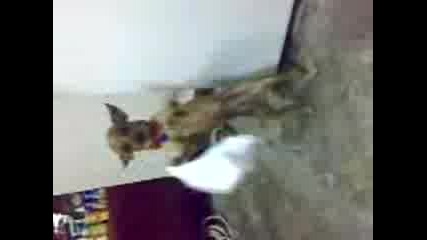 Ku4e6ko Horo.3gp