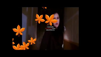 Za konkursa na whiteflower